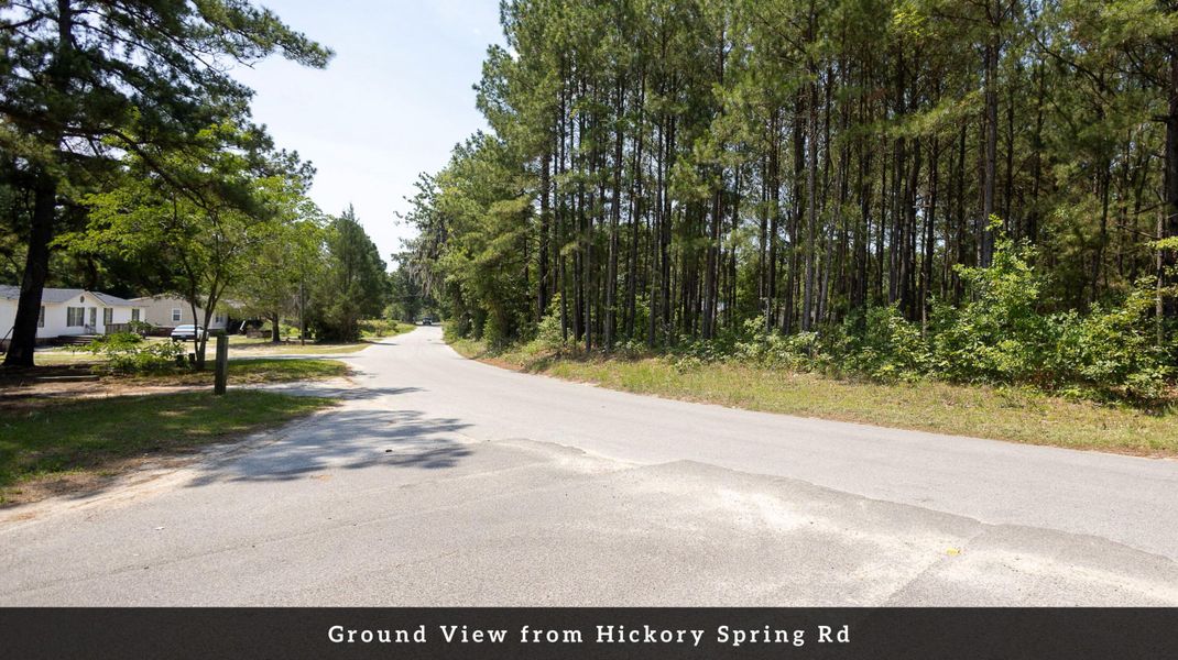 Natural landscape and outdoor views near  in Eutawville (Image 35).