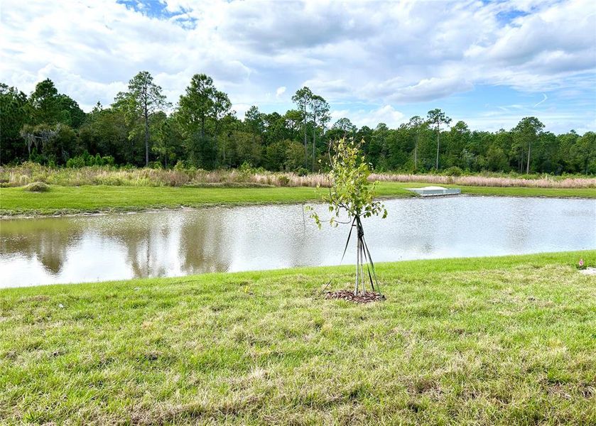 Natural landscape and outdoor views near Villamar in Winter Haven (Image 14). Natural landscape and outdoor views near Villamar in Winter Haven (Image 14).