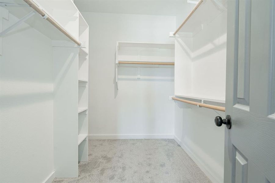 Spacious closet featuring light carpet