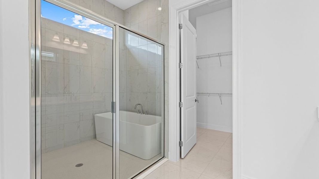 Owner's Bath