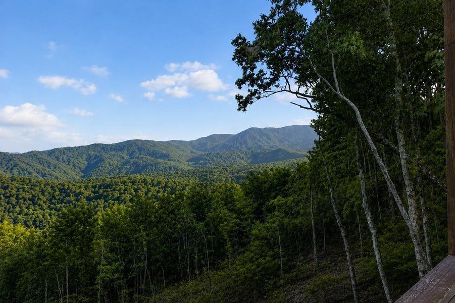 Natural landscape and outdoor views near  in Blue Ridge (Image 83).