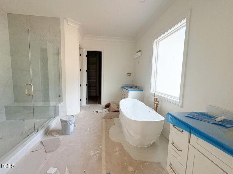 Photo Feb 24 2026, 4 43 03 PM (Medium) Photo Feb 24 2026, 4 43 03 PM (Medium)