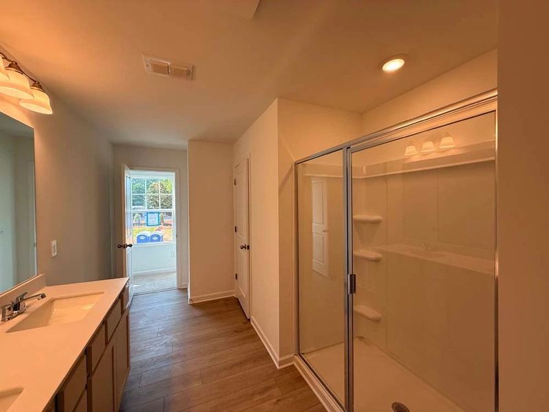 Primary Bathroom Walk-In Shower