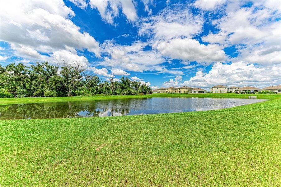 Natural landscape and outdoor views near Bella Lago in Parrish (Image 35).
