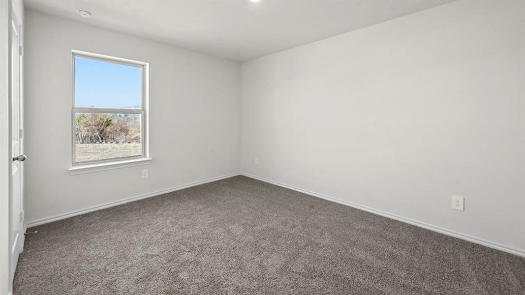 Room featuring neutral gray carpeting and white painted walls, illuminated by natural light from a double-hung window