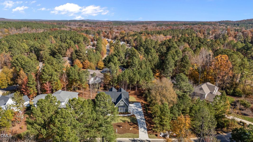 60-web-or-mls-DJI_20251107112515_0448_D