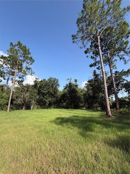 Natural landscape and outdoor views near in Lake Wales (Image 15). Natural landscape and outdoor views near in Lake Wales (Image 15).