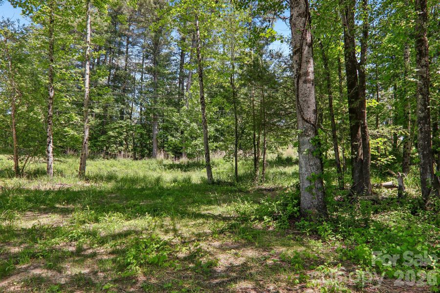 Natural landscape and outdoor views near  in Hendersonville (Image 40).