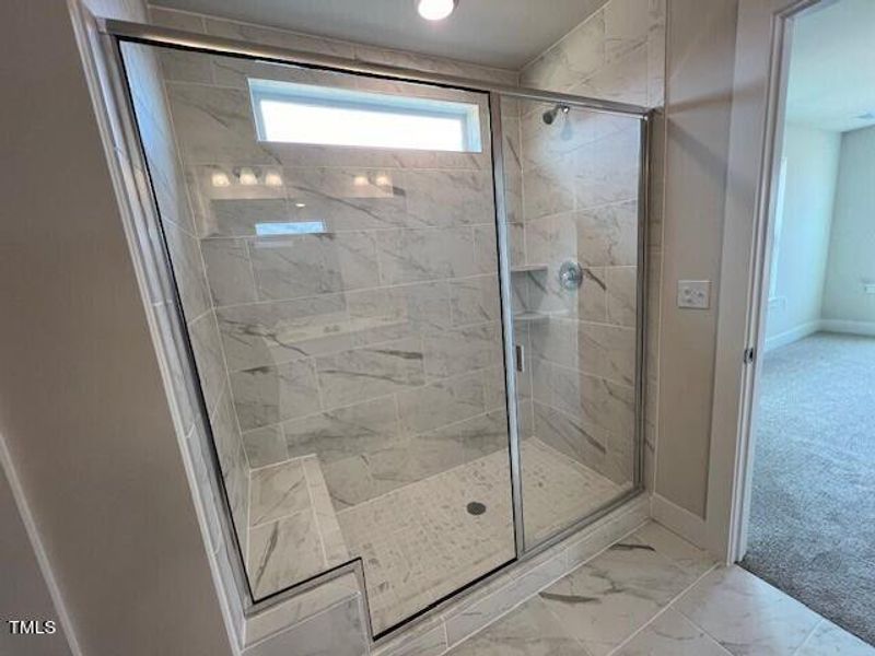 Owner's Bath Shower