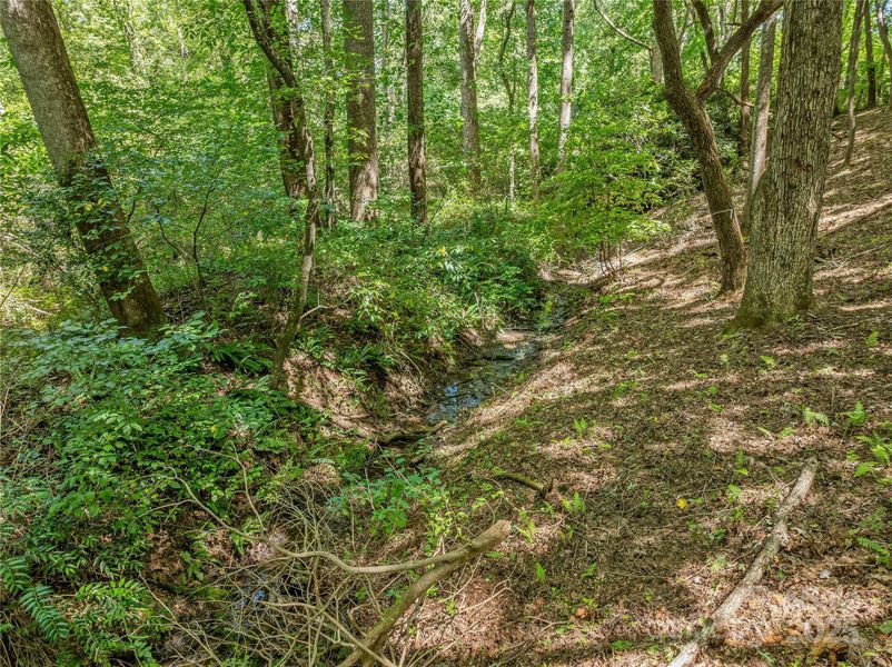 Natural landscape and outdoor views near  in Arden (Image 10).