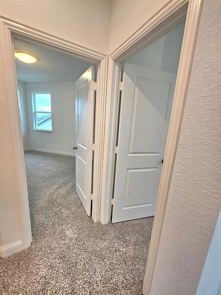 Hall with carpet and a textured wall