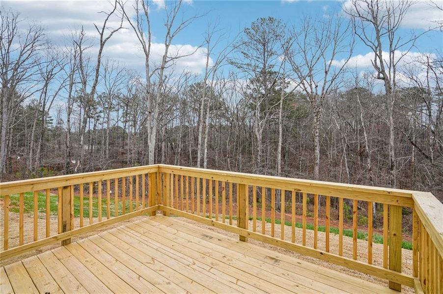 Exterior details and patio area of a home in Hemingway - Reserve Series, Cumming (Image 3).