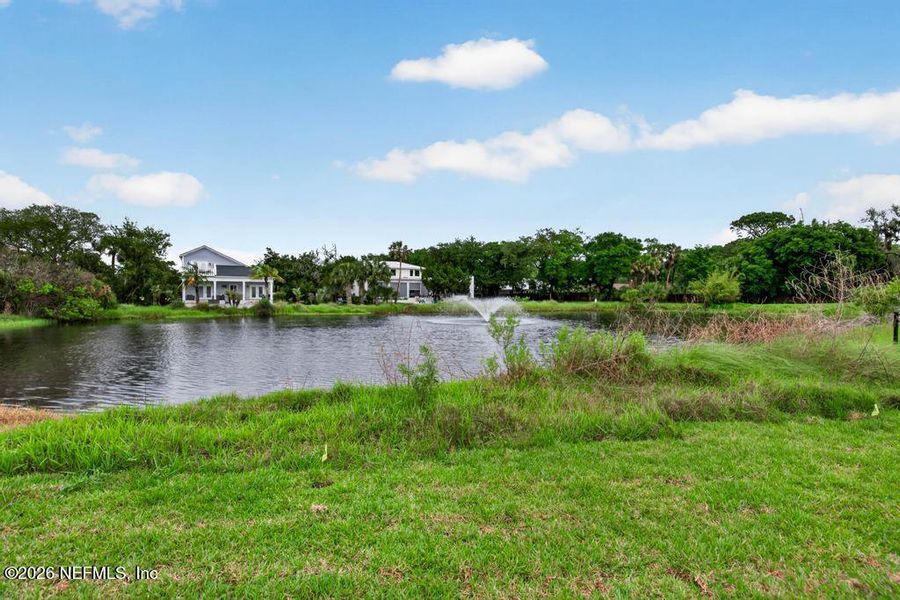 Natural landscape and outdoor views near  in St. Johns (Image 97).