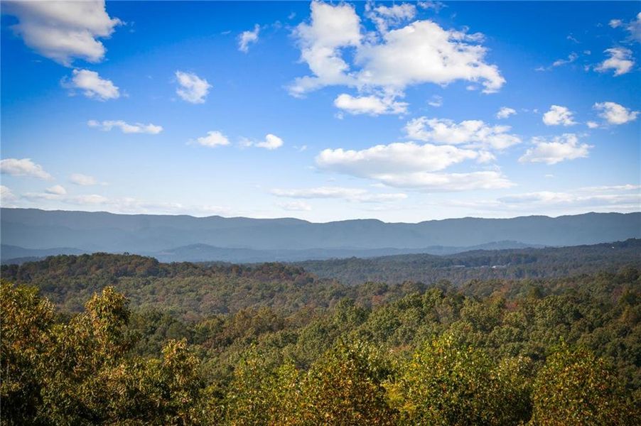 Natural landscape and outdoor views near  in Morganton (Image 54).