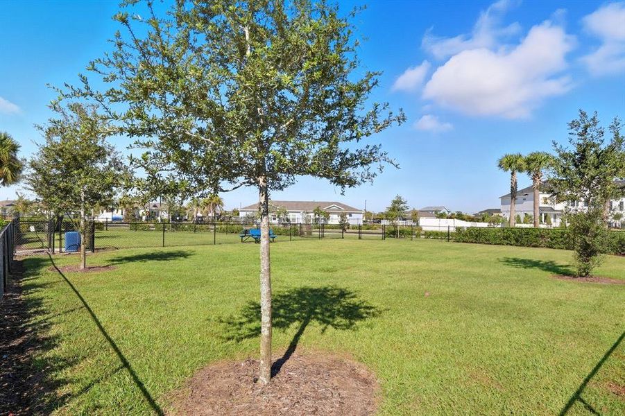 Natural landscape and outdoor views near Nautique at Waterside in Sarasota (Image 28).
