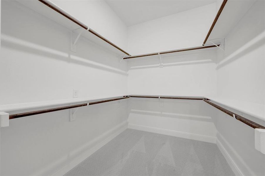 Spacious walk-in closet featuring white shelving and dark wood hanging rods, with light gray carpet flooring