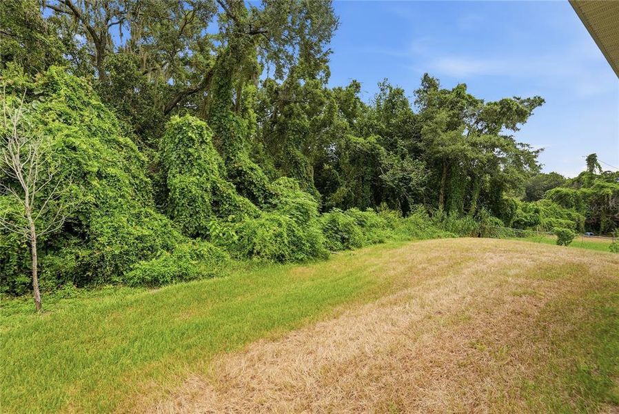 Natural landscape and outdoor views near  in Orlando (Image 27).