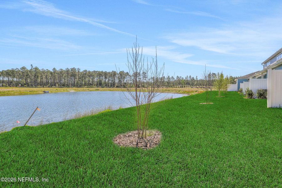 Natural landscape and outdoor views near Brook Forest in St. Augustine (Image 40). Natural landscape and outdoor views near Brook Forest in St. Augustine (Image 40).