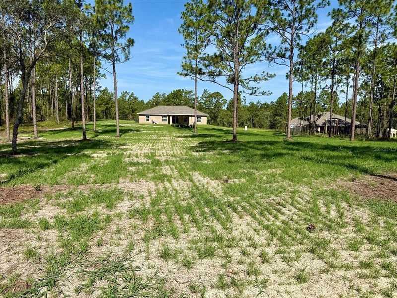 Natural landscape and outdoor views near in Dunnellon (Image 13). Natural landscape and outdoor views near in Dunnellon (Image 13).