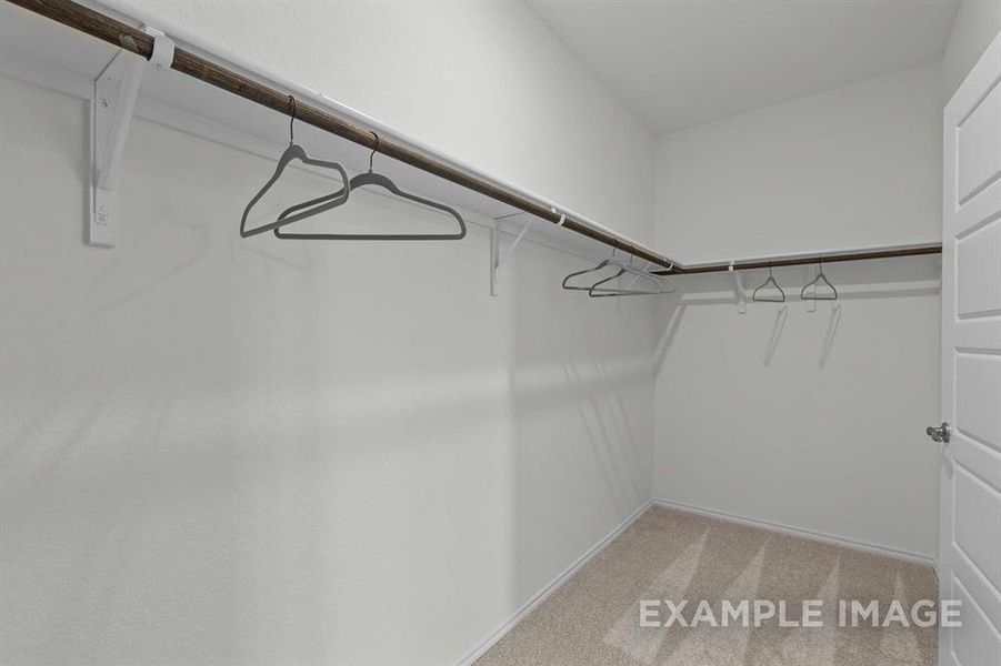 Spacious closet with light carpet