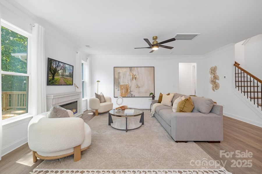 Living and Fireplace