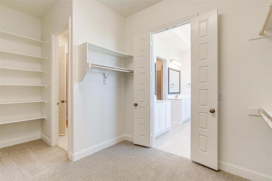 Walk in closet with light carpet and sink