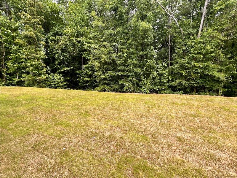 Natural landscape and outdoor views near  in Jefferson (Image 65).