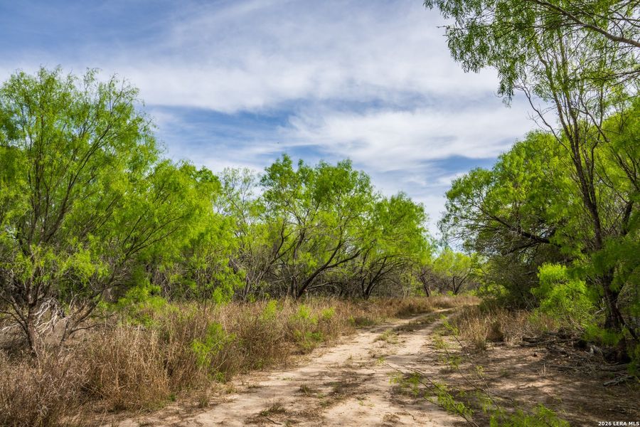Natural landscape and outdoor views near in Crystal City (Image 33). Natural landscape and outdoor views near in Crystal City (Image 33).