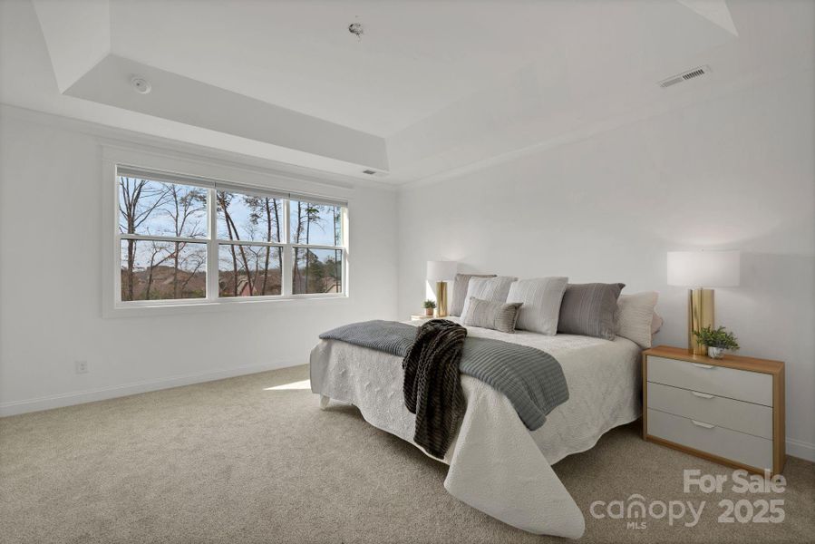 Primary Bedroom with vaulted ceiling