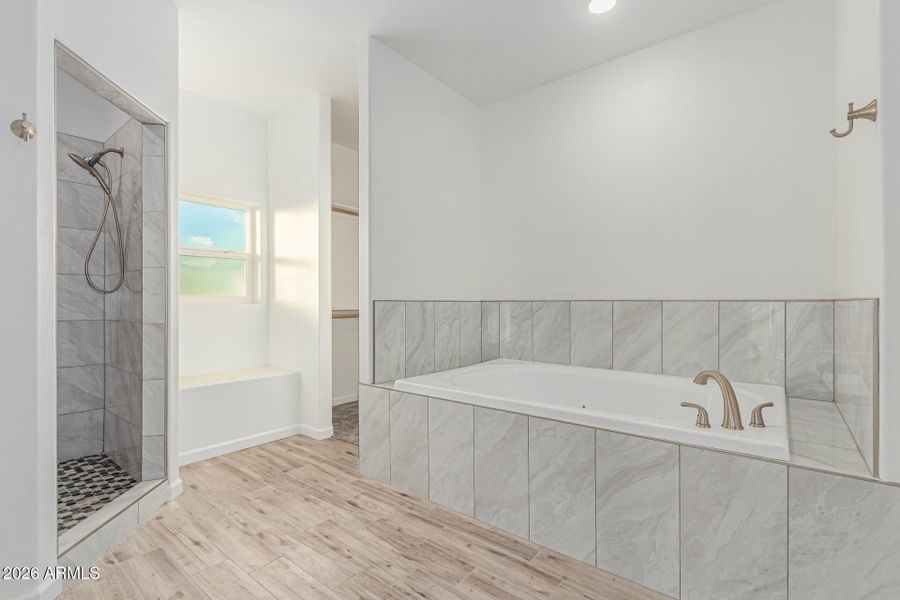 Separate Large Bathtub