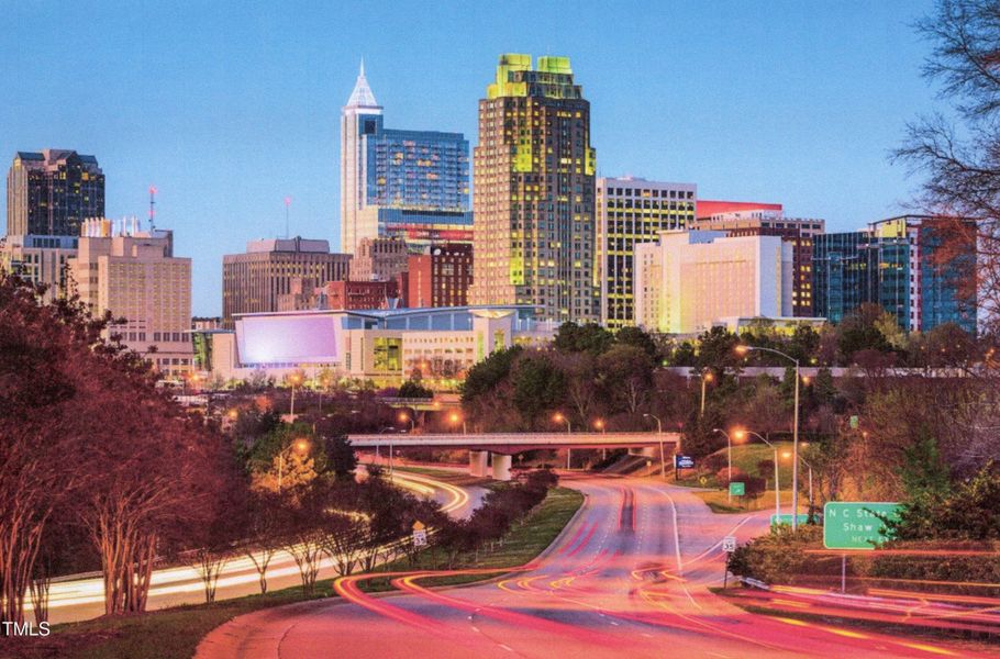 Raleigh Skyline