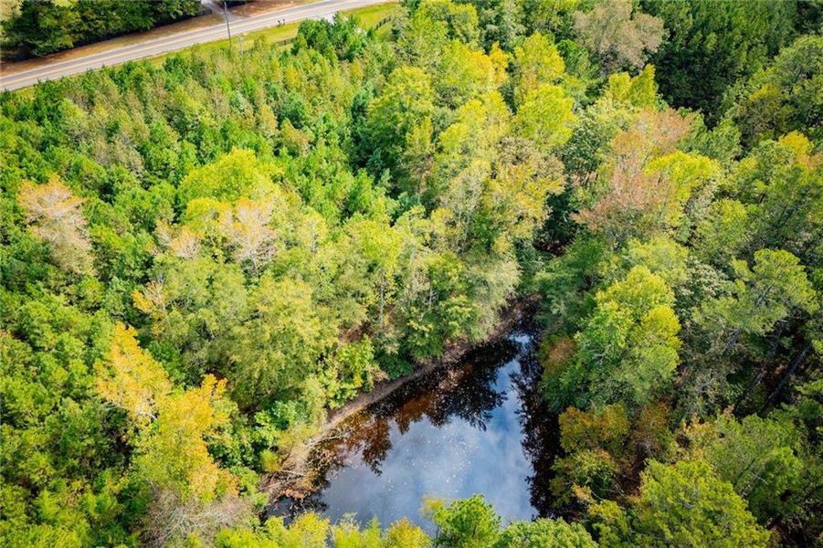 Natural landscape and outdoor views near  in Newnan (Image 68).