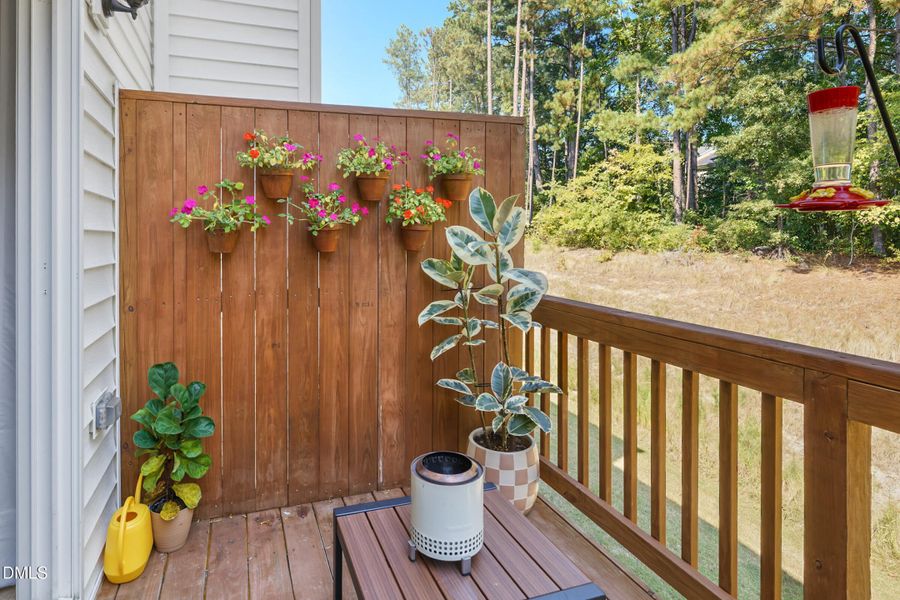 4109 Trevino 26 DeLynda Cook