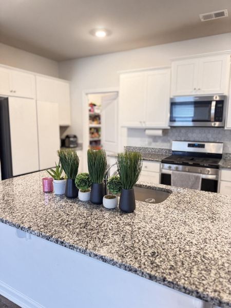 Furnished interior view inside a new home in , Ladson (Image 17).