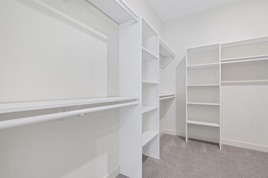 Walk in closet with light colored carpet
