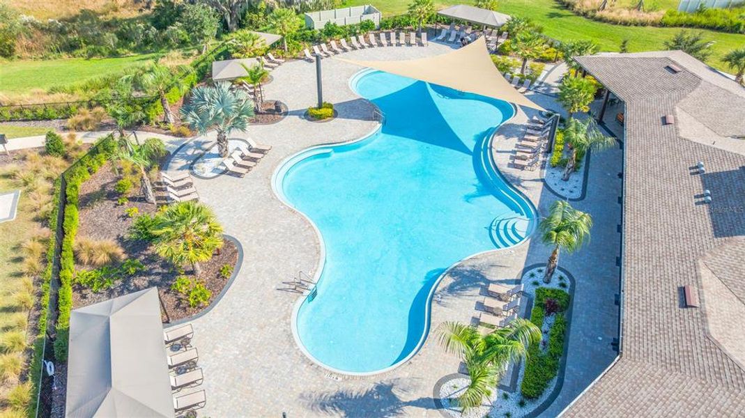 Community amenities in Summerstone, Wesley Chapel (Image 34). Community amenities in Summerstone, Wesley Chapel (Image 34).