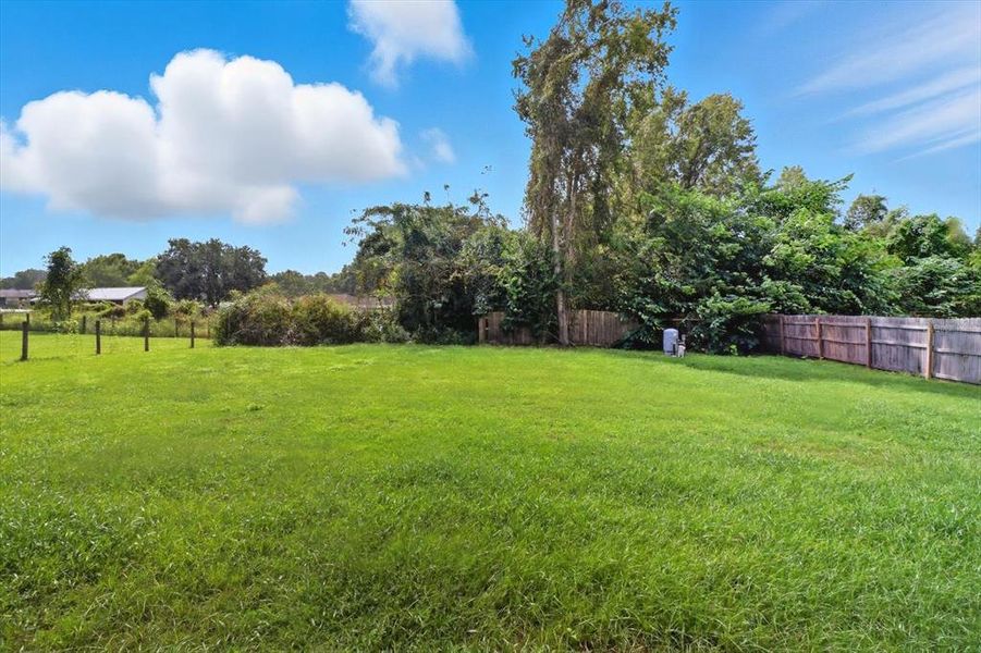 Natural landscape and outdoor views near  in Dunnellon (Image 41).