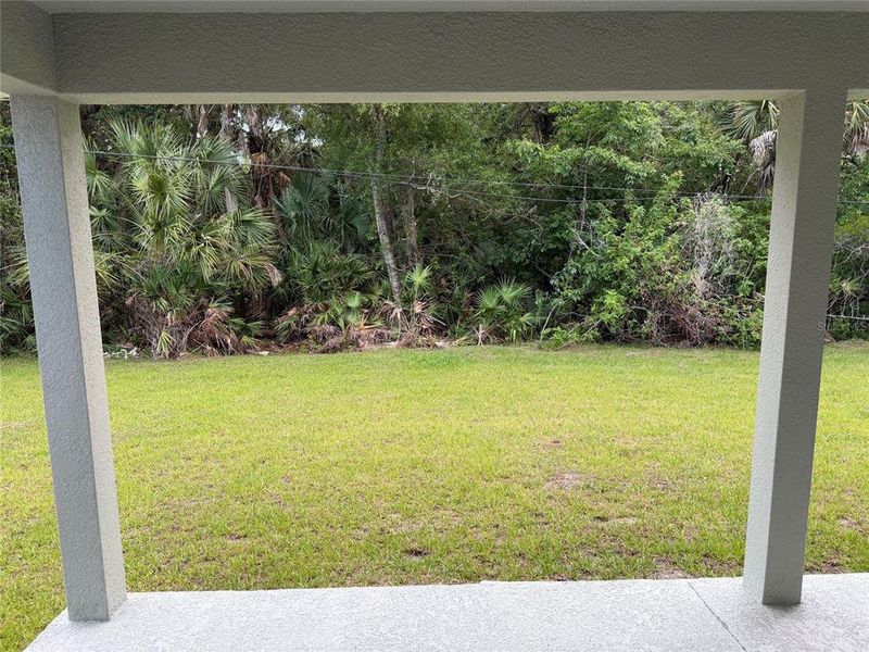 Exterior details and patio area of a home in Port Charlotte, Port Charlotte (Image 17).
