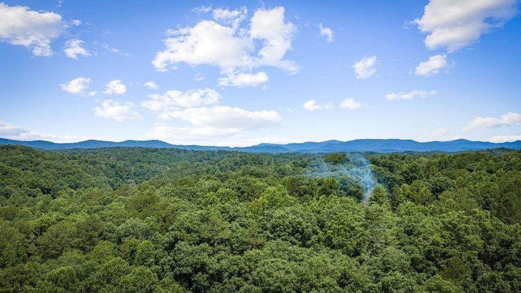 Natural landscape and outdoor views near  in Ellijay (Image 49).
