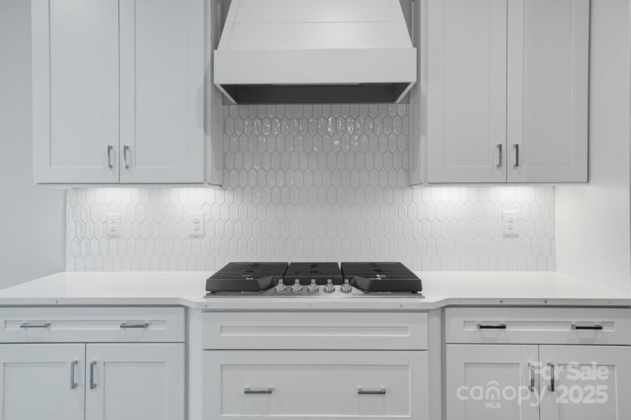 Close-up of interior finishes inside a home in Heritage - 55+ Community, Indian Trail (Image 14). Close-up of interior finishes inside a home in Heritage - 55+ Community, Indian Trail (Image 14).