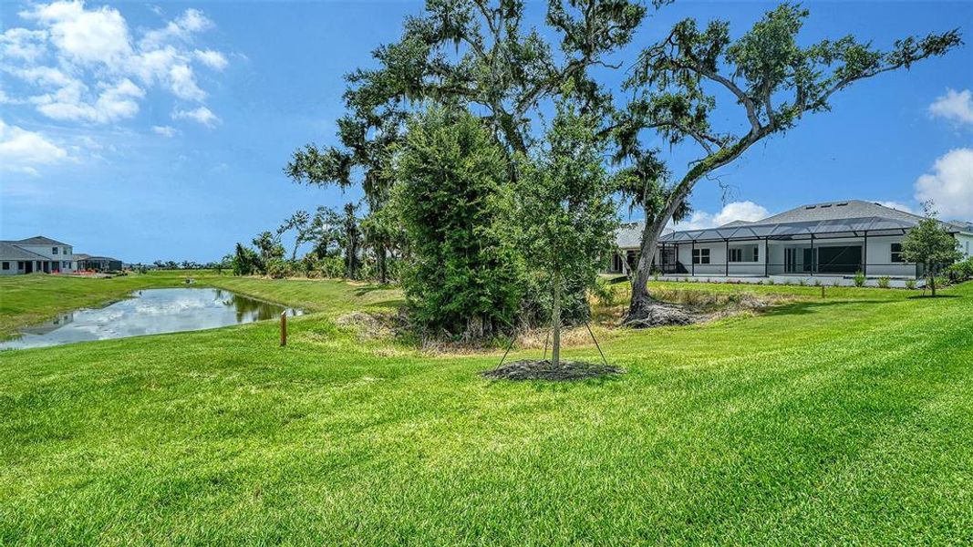 Natural landscape and outdoor views near Canoe Creek in Parrish (Image 51). Natural landscape and outdoor views near Canoe Creek in Parrish (Image 51).