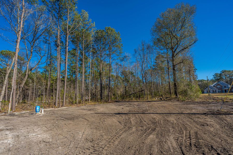 Site preparation for new homesites in , Summerville (Image 42).