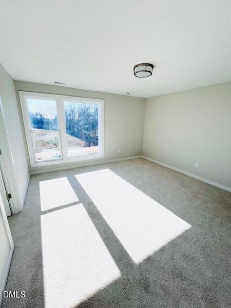 Interior 11 - 5 Jan 2026