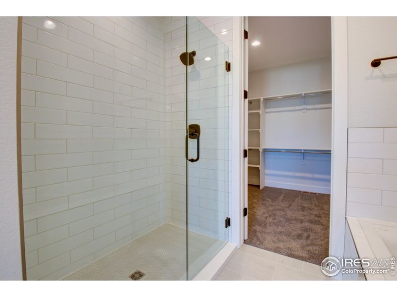 Frameless Euro shower door is practical and elegant looking