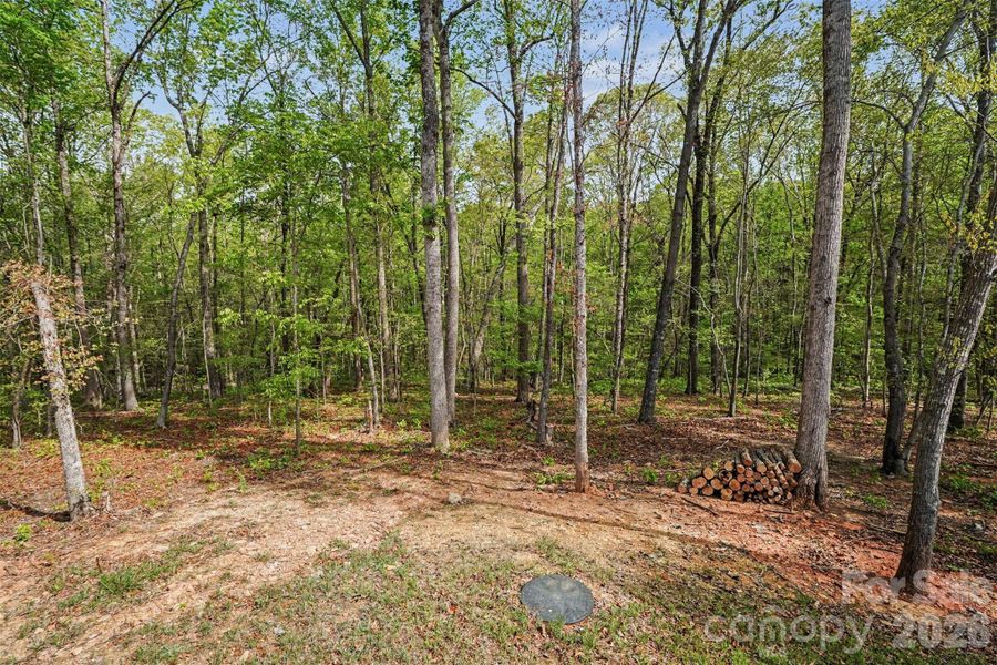 Natural landscape and outdoor views near  in Stanfield (Image 24).