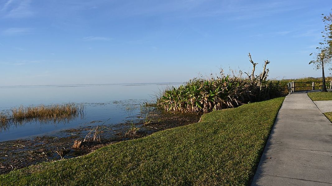 Natural landscape and outdoor views near Esplanade at McKinnon Groves in Winter Garden (Image 36).