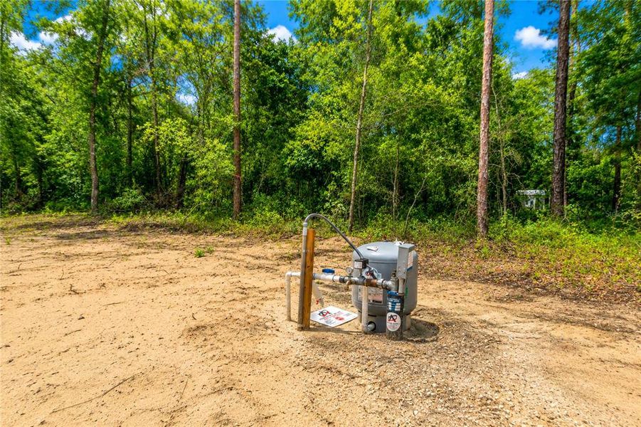 Natural landscape and outdoor views near in Ocala (Image 37). Natural landscape and outdoor views near in Ocala (Image 37).