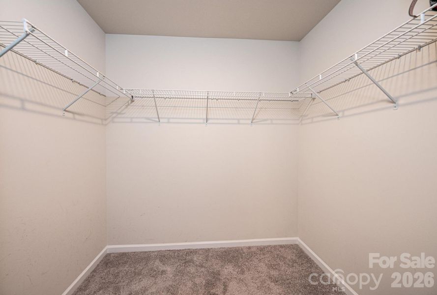 Spacious, unfurnished interior of a new home in , Newton (Image 26).