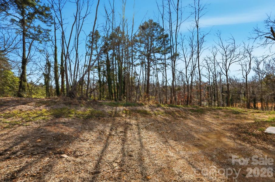 Natural landscape and outdoor views near  in Albemarle (Image 36).