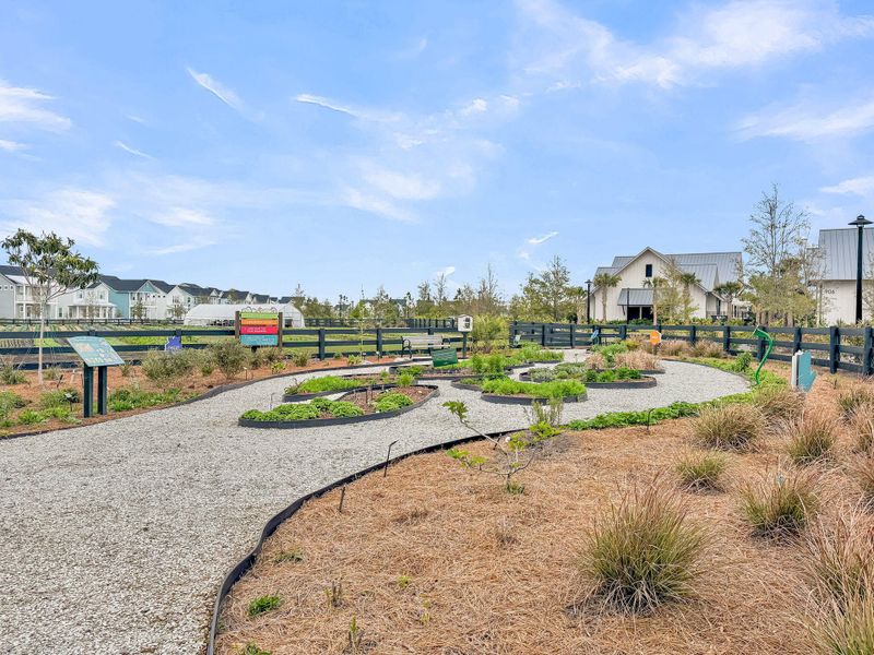 Community amenities in Carnes Crossroads, Summerville (Image 39).